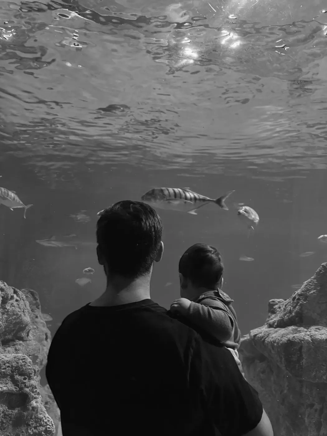 Franco carrying his son on his shoulders in front of a large aquarium tank